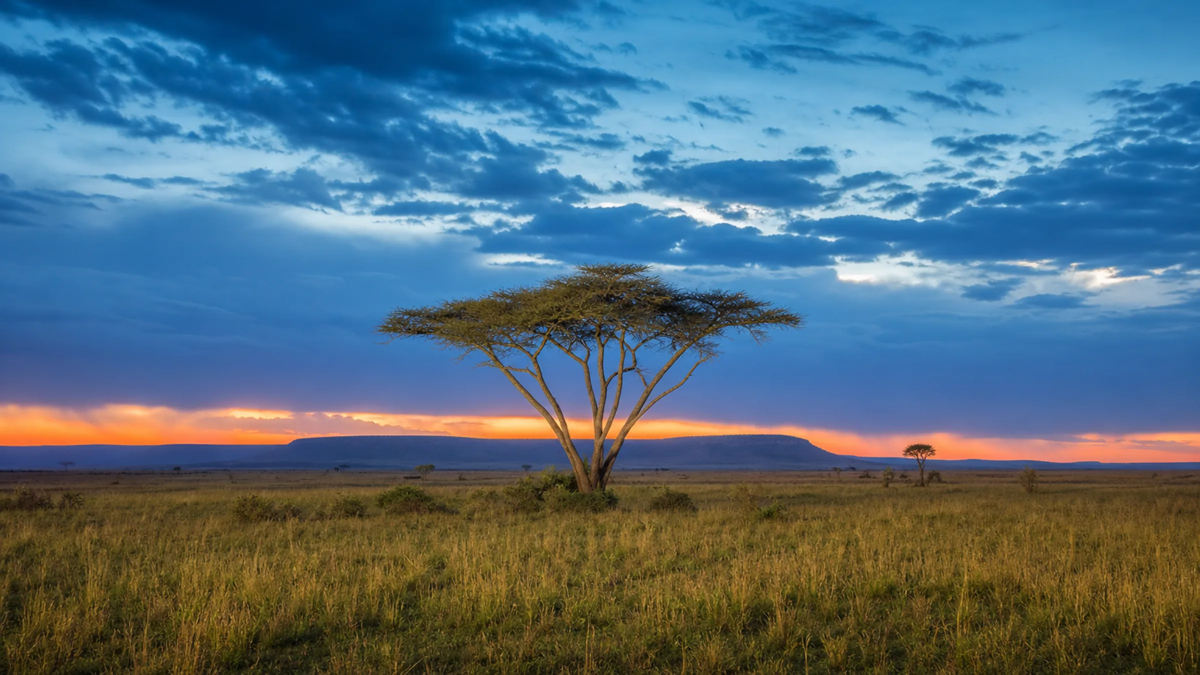 Kenya