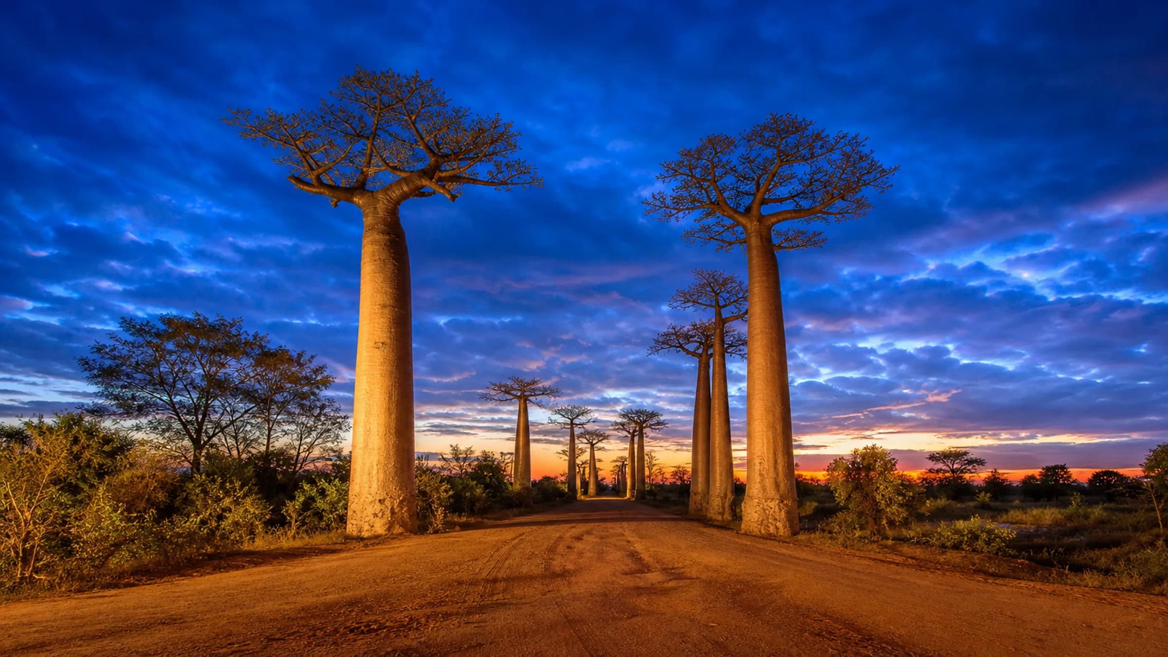 Madagascar